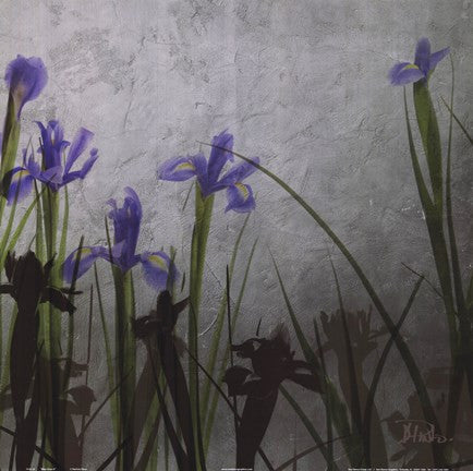 Blue Irises II