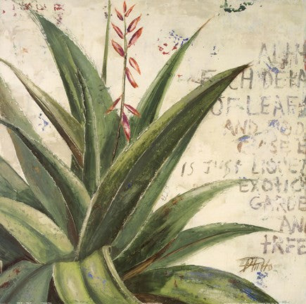 Aloe II