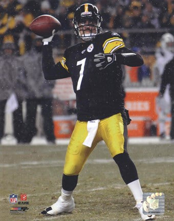 Ben Roethlisberger 2010 Action