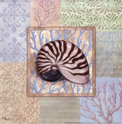 Oceanic Shell Collage III