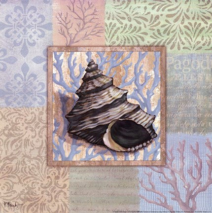 Oceanic Shell Collage II