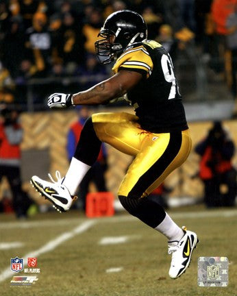 James Harrison 2010 Playoff Action