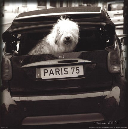 Paris Dog I