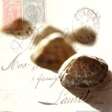 Postal Shells IV