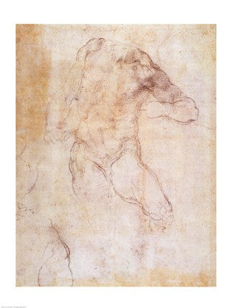 Study of a male nude