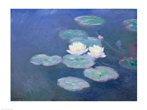 Waterlilies, Evening