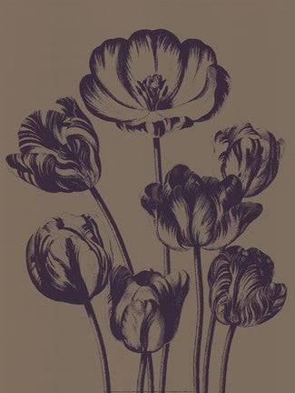 Tulip 14