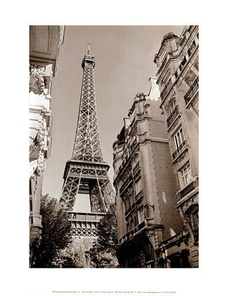 Eiffel Tower Street View #1