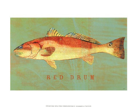 Red Drum