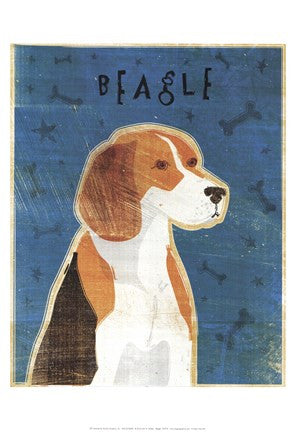 Beagle