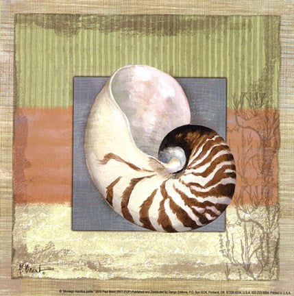 Montego Nautilus- petite