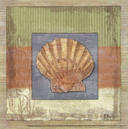 Montego Scallop- petite