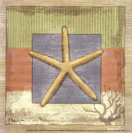 Montego Starfish- petite