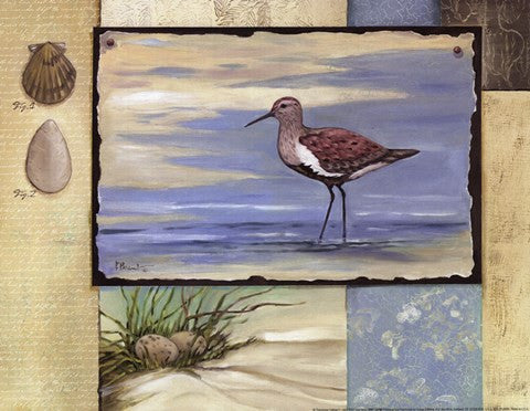 Sandpiper Collage II mini