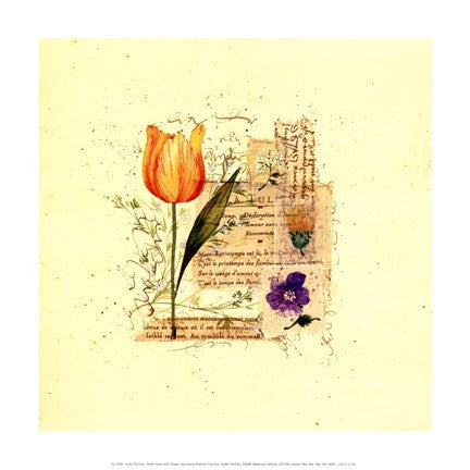 Flower Notes with Orange Tulip