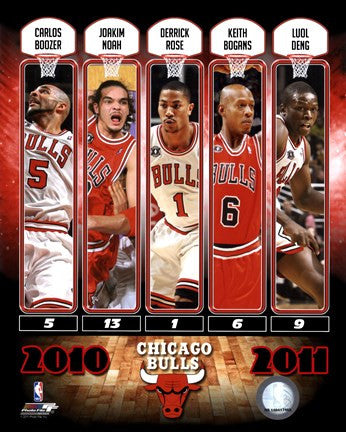 Chicago Bulls Team Comp 2010-11