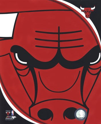 Chicago Bulls Team Logo