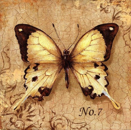 Clair's Butterfly II