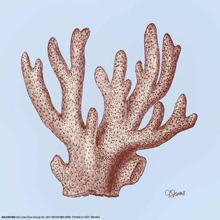 Coral I