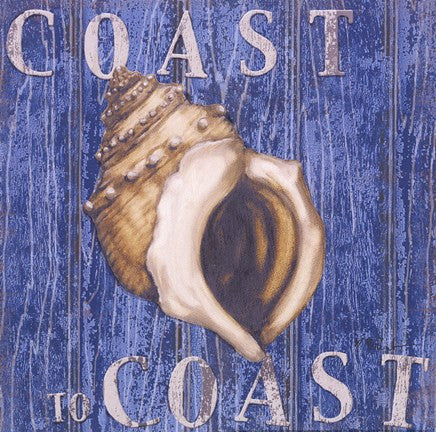 Coastal USA Conch