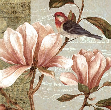 Magnolia Collage I
