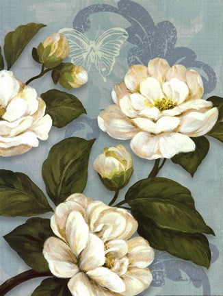 Camellias