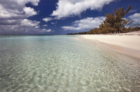 Deep Creek Shoreline