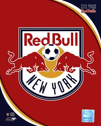 2011 New York Red Bulls Team Logo