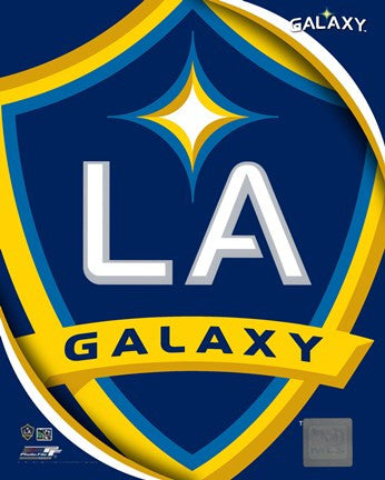 2011 LA Galaxy Team Logo