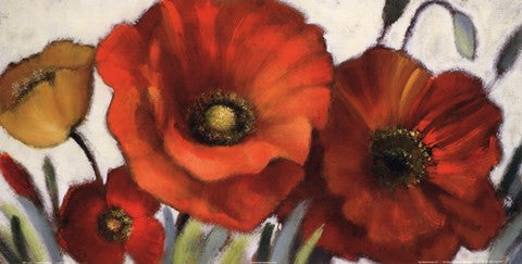 Poppy Splendor I