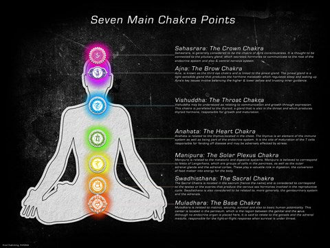 Seven Main Chakra Points