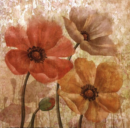 Poppy Allure I