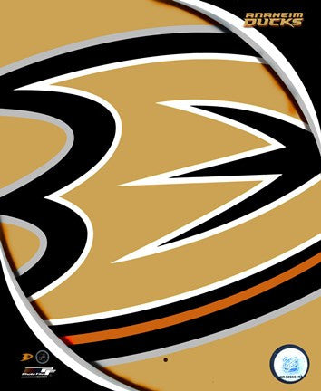 Anaheim Ducks 2011 Team Logo