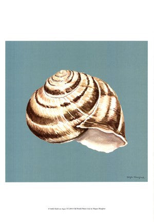 Shell on Aqua I