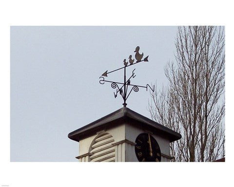 Weathervane on Damerham Village Hall