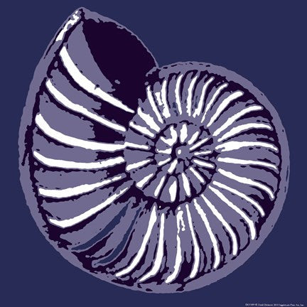 Nautilus