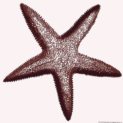 Starfish