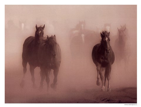 Ghost Horses