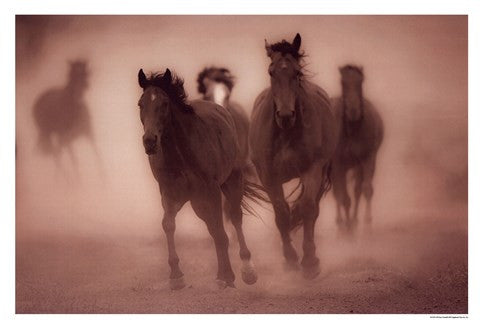 Sepia Horses