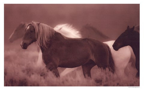 Sepia Horses