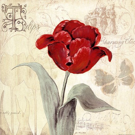 Tulip Gem I