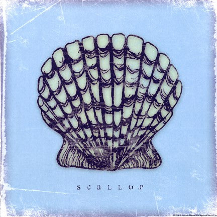 Scallop - blue