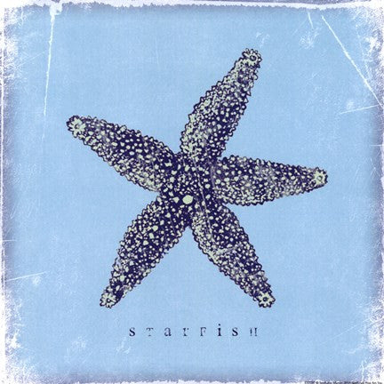 Starfish - Blue