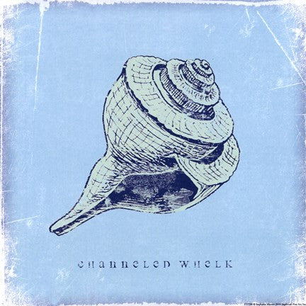 Whelk