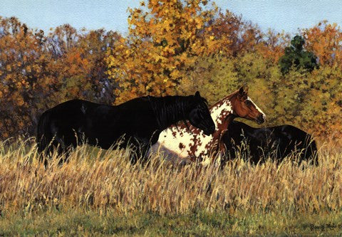 Autumn Beauties