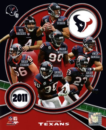 Houston Texans 2011 Team Composite