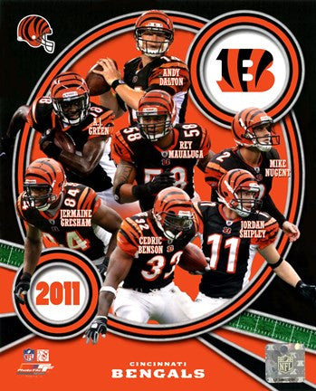 Cincinnati Bengals 2011 Team Composite