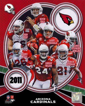 Arizona Cardinals 2011 Team Composite