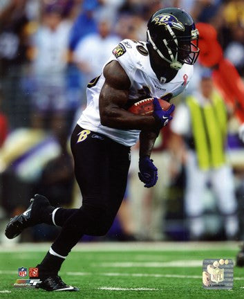 Ed Reed 2011 Action