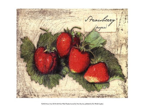 Fresco Fruit XII